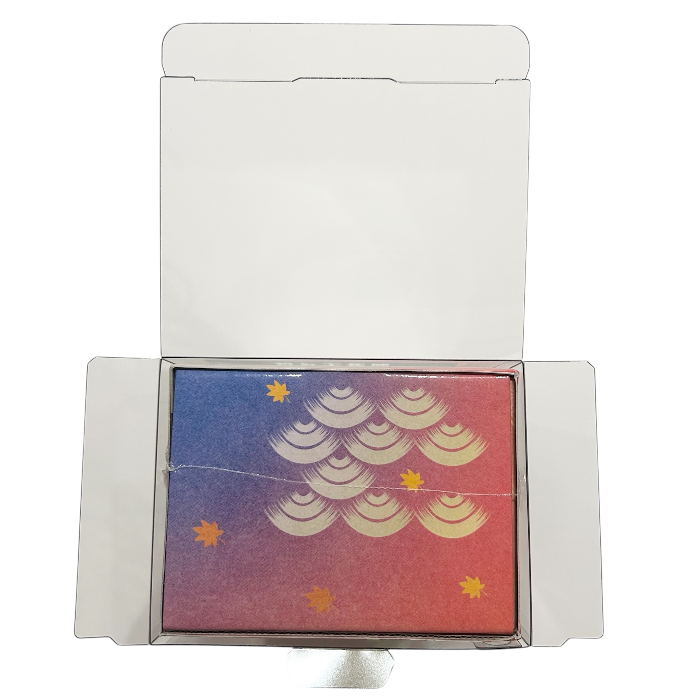 EYESRAIL Boxx Guardian入れ方